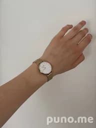 Часы Daniel Wellington Petite Evergold золотые 32 мм