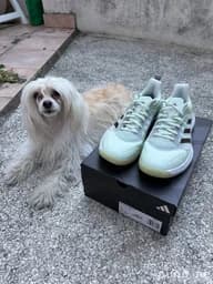 Кроссовки ADIDAS DEFIANT SPEED W