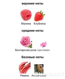 Духи Juice Expressive 10 мл
