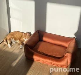 Лежанка для кота/собаки 75x45 см
