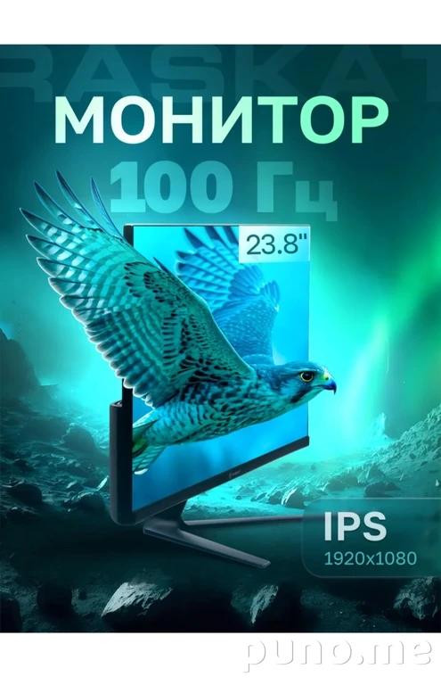монитор RASKAT