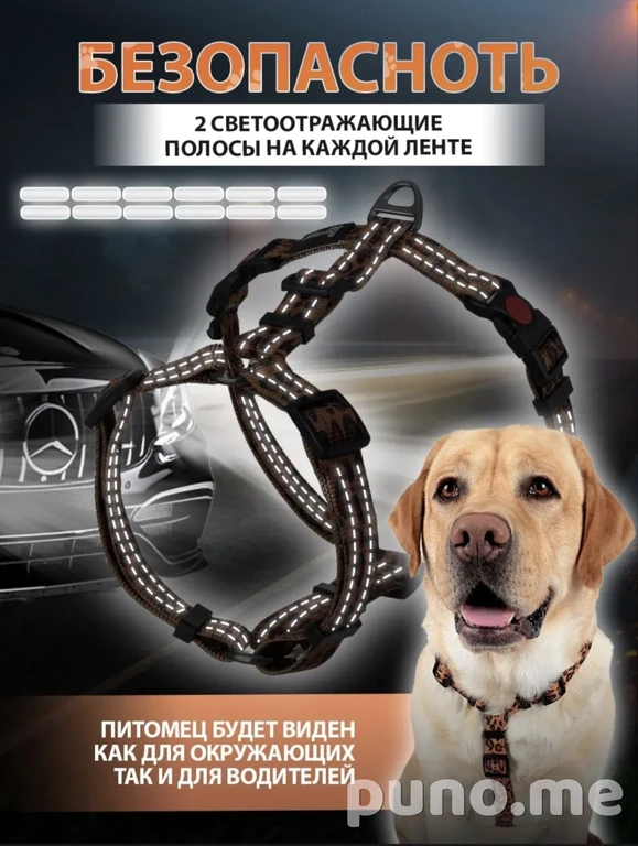 Анатомическая шлейка для собак