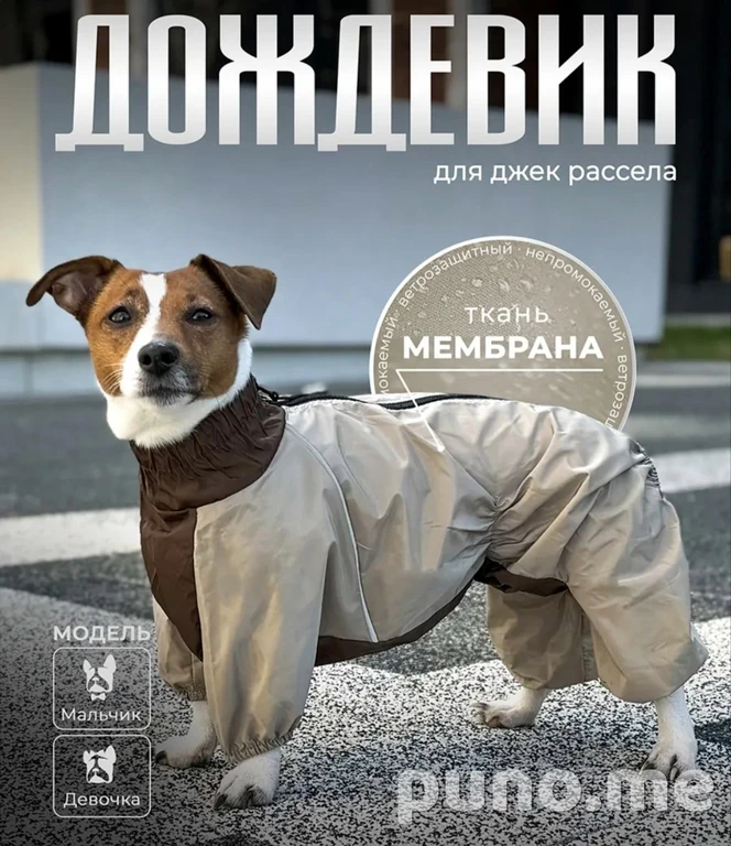 Дождевик для собак