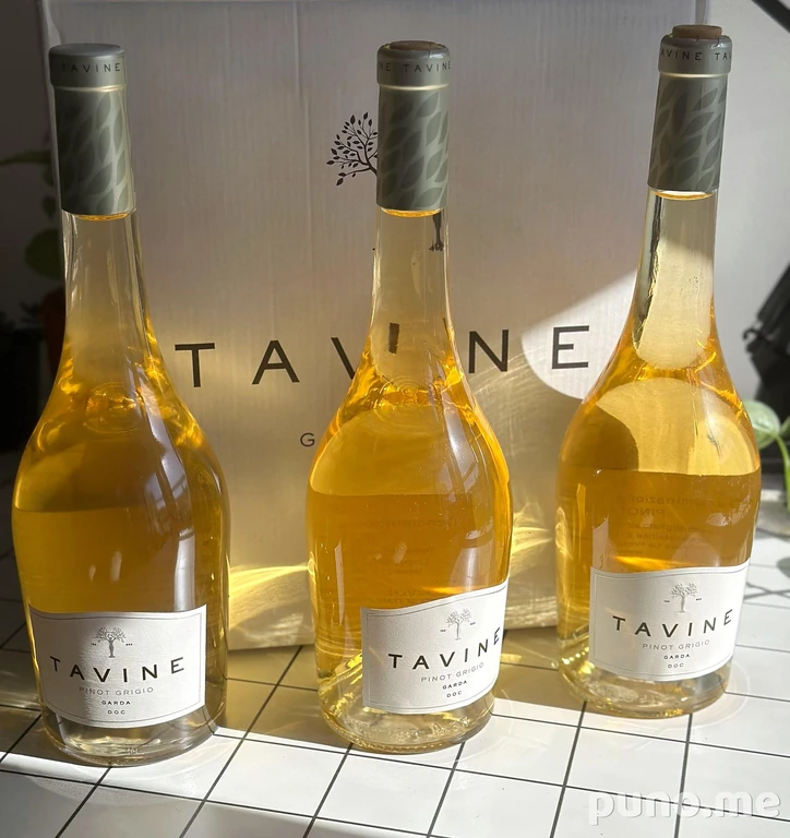 Вино Tavine Pinot Grigio Garda DOC