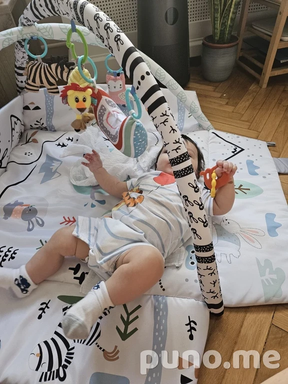 Baby gym