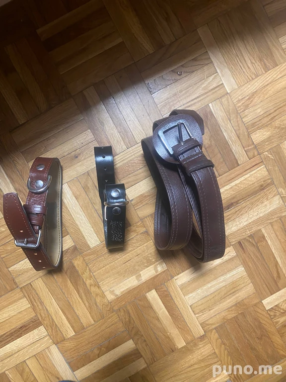 Собачья упряжь