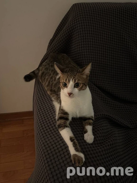 Марго