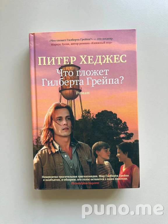 Книги Хеджес, Лю Цысинь