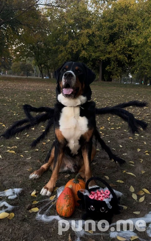 Костюм паука