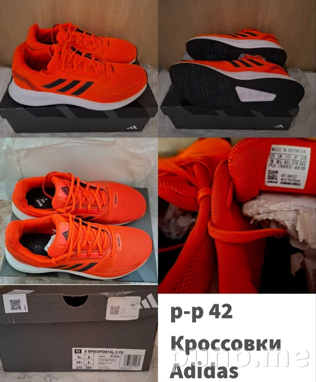 Одежда