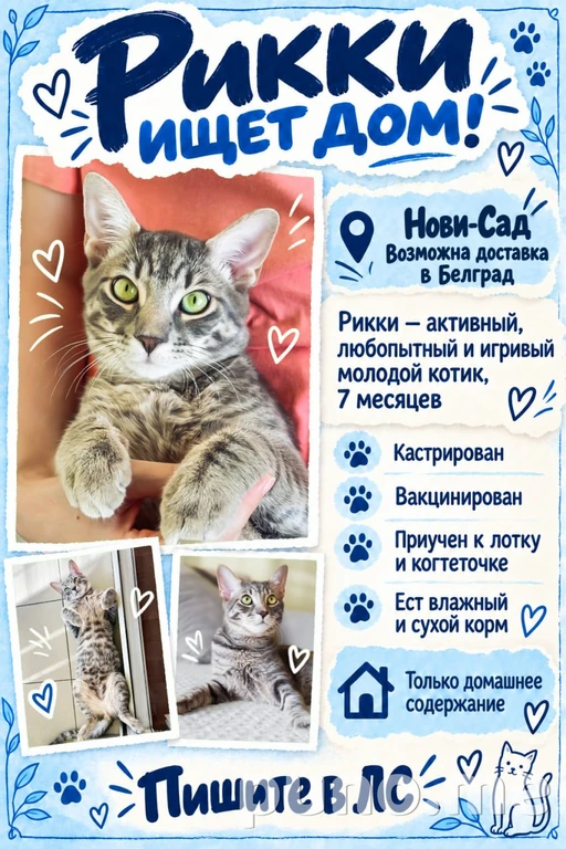 Рикки