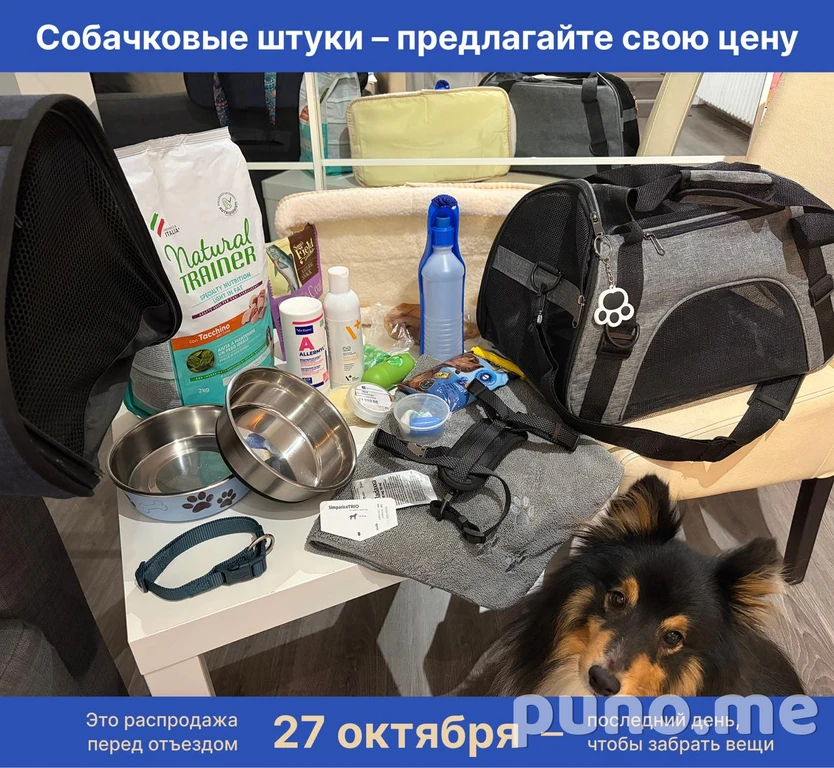 Вещи для собак
